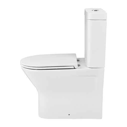 Falcon Rimless Back To Wall Close Coupled Toilet