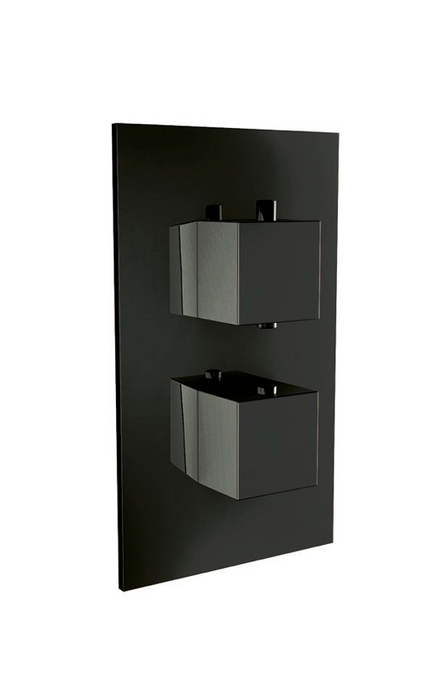 Scudo Noir Black Dual Handle with Single Outlet Valve