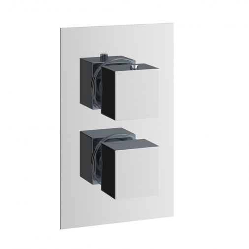 Square Thermostatic Shower Valve 2 Outlet